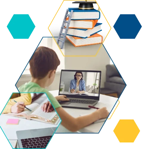 Online Home Tution one to one class